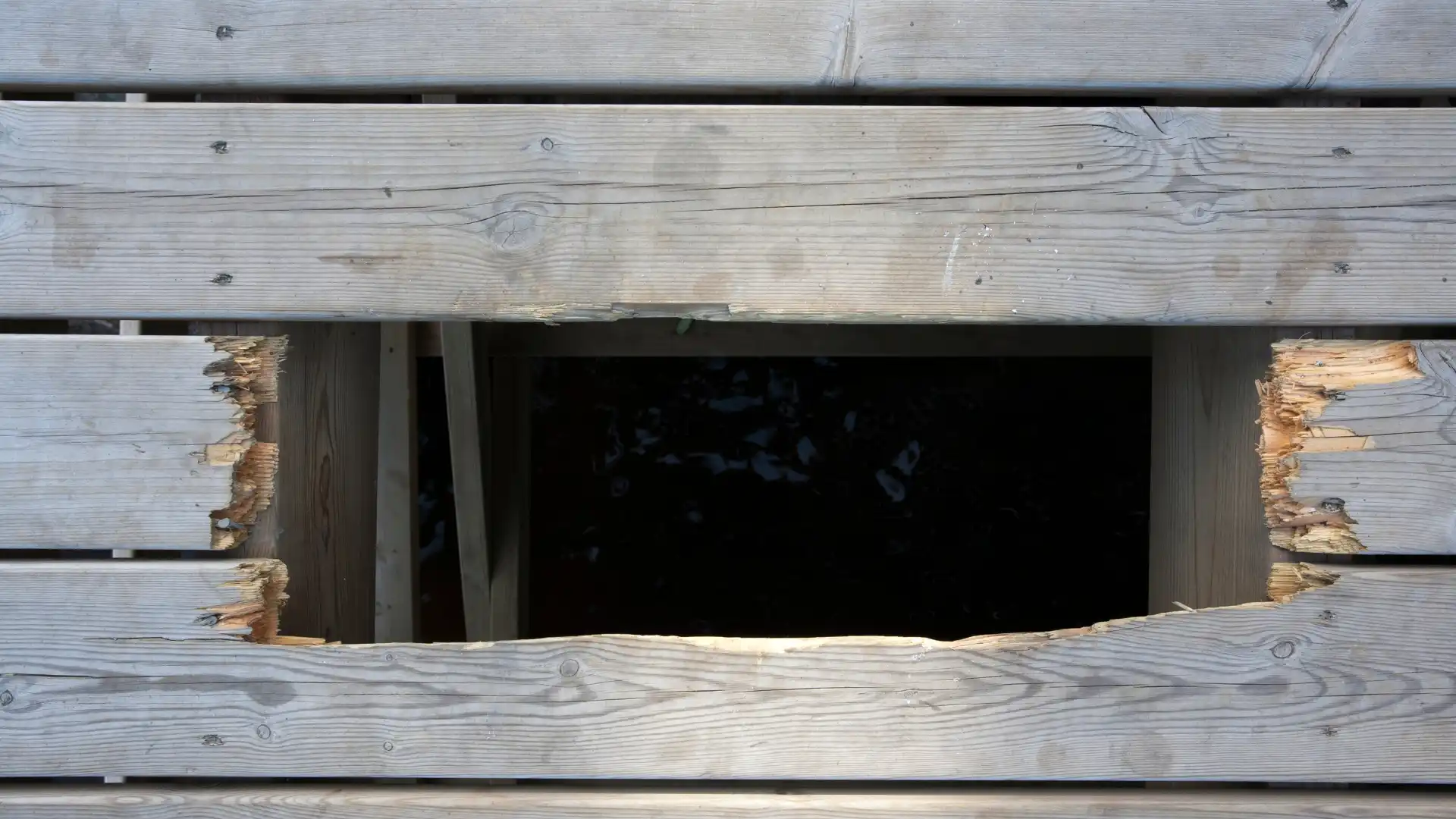 Loose or Missing Boards